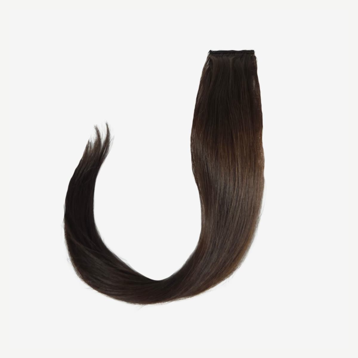 The Signature Pony